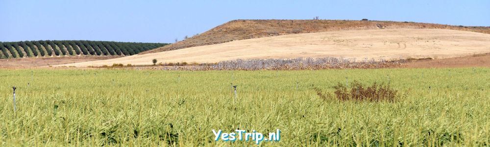 xxx From Olite to Villafranca